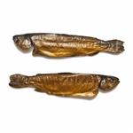 Vers gerookte Forel kopen en je club steunen!