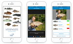Sportvisserij Nederland lanceert wereldwijd unieke app voor visherkenning